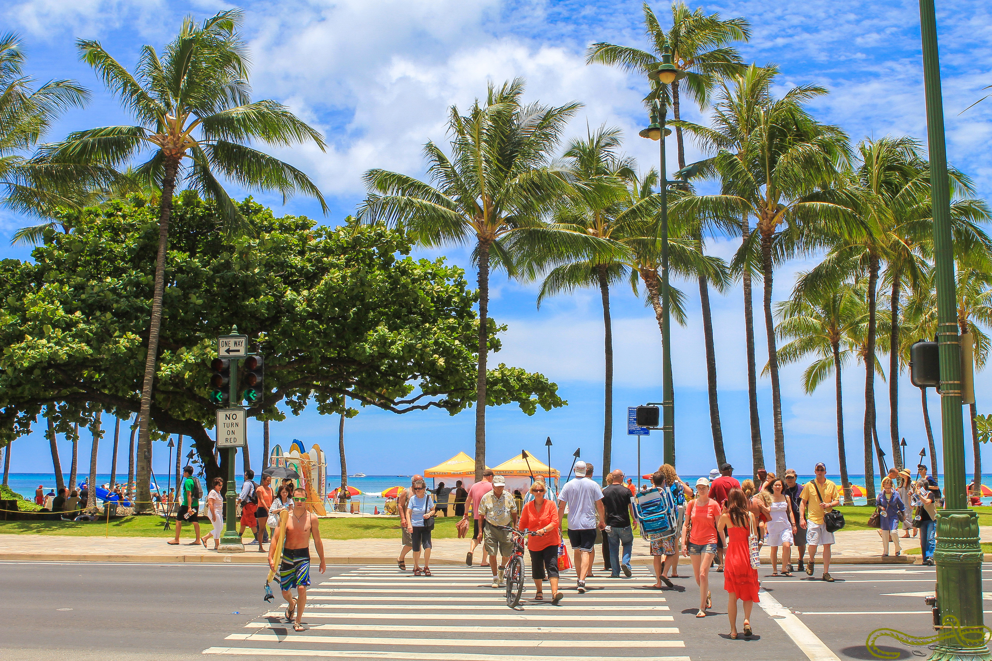 Waikiki accross the road